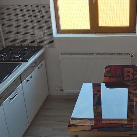 Studio Elisa Lejlighed Caransebeş Eksteriør billede