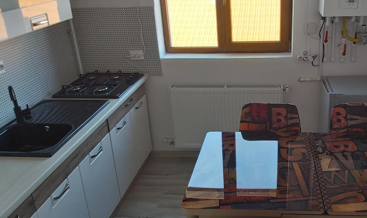 Studio Elisa Lejlighed Caransebeş Eksteriør billede